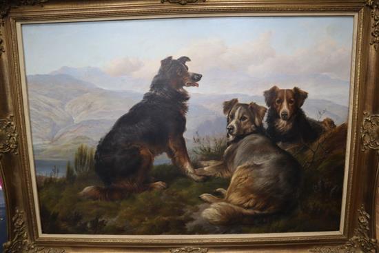 George Jones (176-1869), oil on canvas, Three Border Collies, monogrammed and dated 66, 74 x 108cm